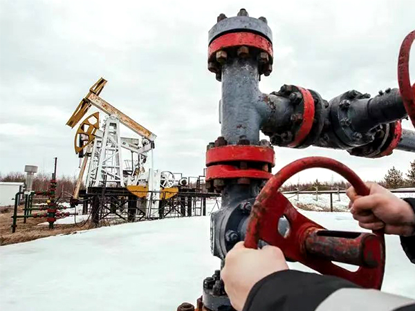 ͚҇Q׸ۿڰl(f)չֳγ