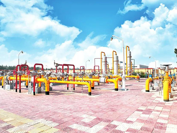 ҇Ȼ|ɹܾW(wng)ϱҪȫ(lin)ͨ